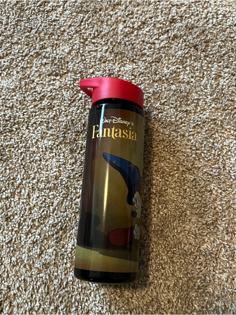 Disney Fantasia water Bottle